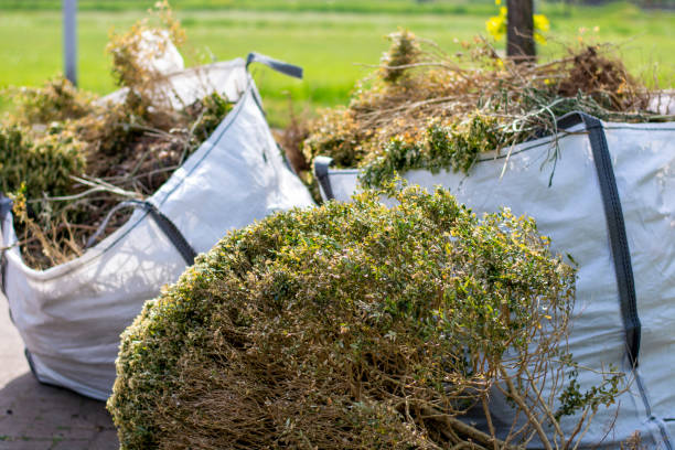 Best Junk Removal for Events  in Louisville, GA